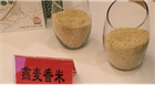【產(chǎn)業(yè)】內蒙古民豐助力打造“中國燕麥之鄉(xiāng)”